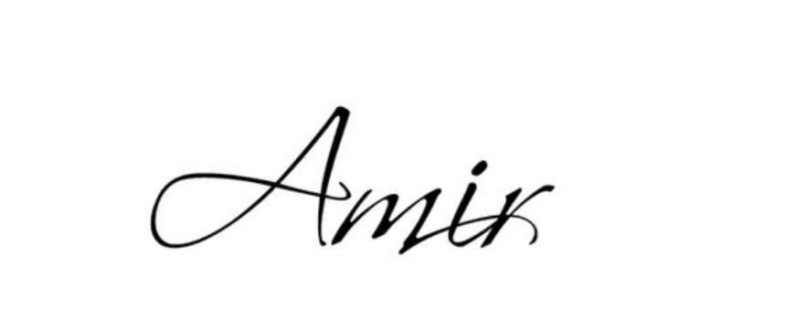 Amir X Millennium "Amir" signature script logo
